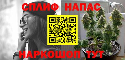 mdpv Ставрополь