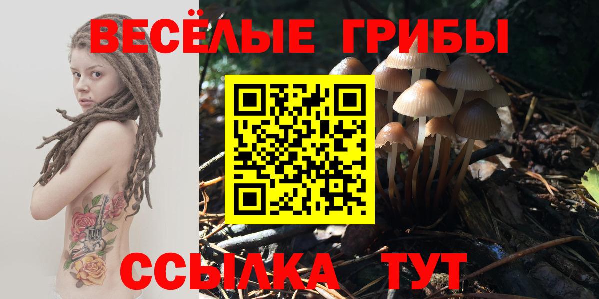 Псилоцибиновые грибы Psilocybine cubensis  Псилоцибиновые грибы мицелий  Вход с VPN  Оренбург 